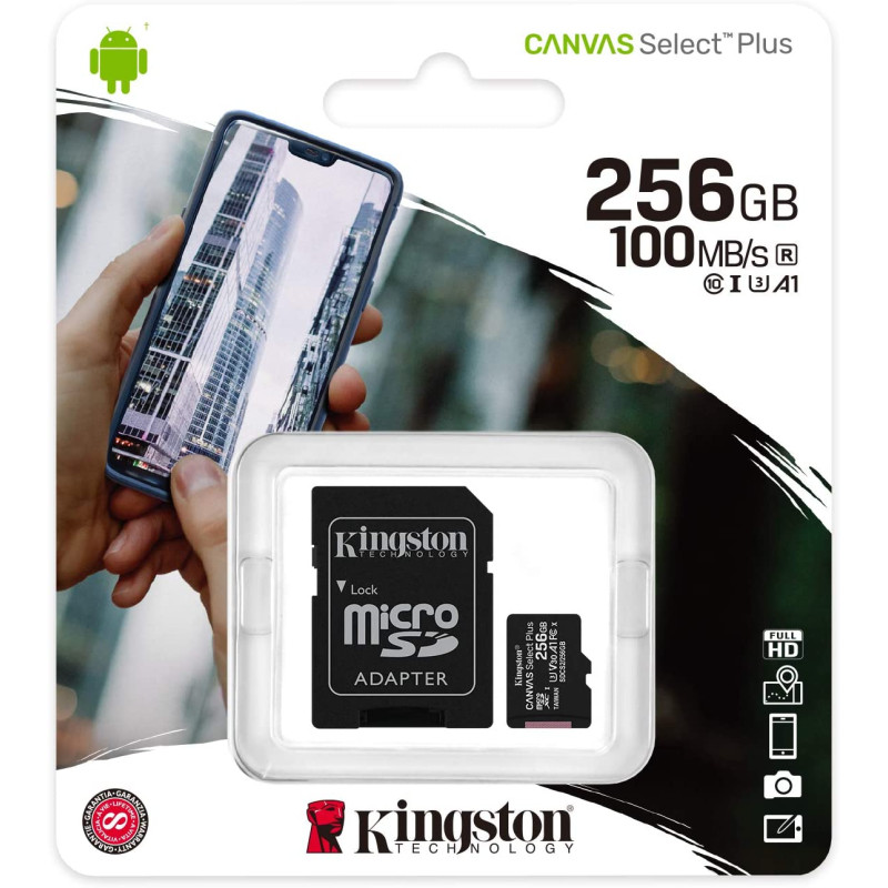 Kingston Micro SD 256GB Classe 10 SDCS2/256GB + Adattatore SD