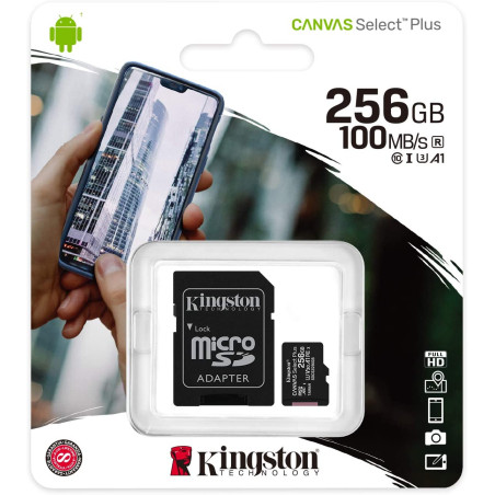 Kingston Micro SD 256GB Classe 10 SDCS2/256GB + Adattatore SD