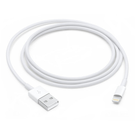 Apple Cavo Lightning a USB (1m)
