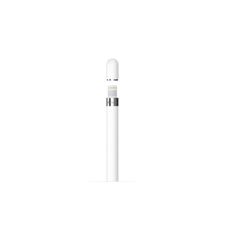 Apple Pencil 1Gen per iPad + Adattatore USB-C MQLY3ZM/A