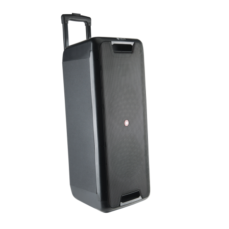 NGS Speaker Wild Rave2 Portatile BT TWS +Mic Ricaricabile 300W