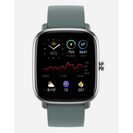 Xiaomi Smartwatch Amazfit GTS 2 mini 40mm Green