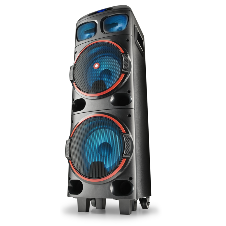 NGS Spekear Trolley WildDub1 DJ Party BT RGB TWS 300W Nera