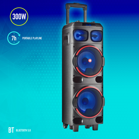 NGS Spekear Trolley WildDub1 DJ Party BT RGB TWS 300W Nera