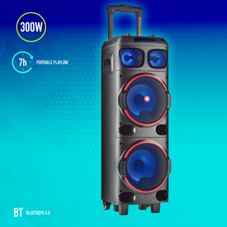 NGS Spekear Trolley WildDub1 DJ Party BT RGB TWS 300W Nera