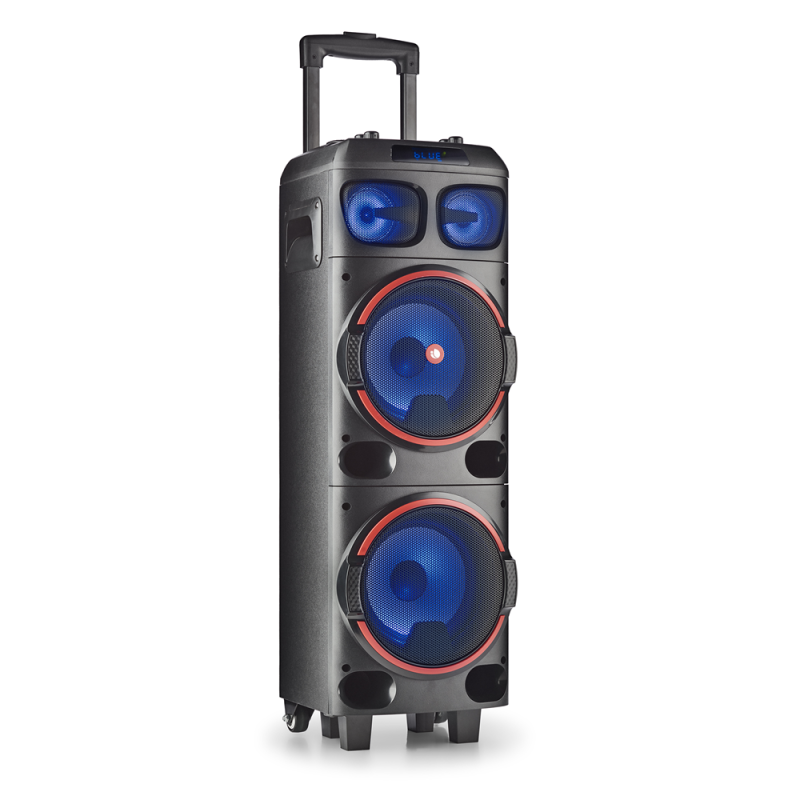 NGS Spekear Trolley WildDub1 DJ Party BT RGB TWS 300W Nera