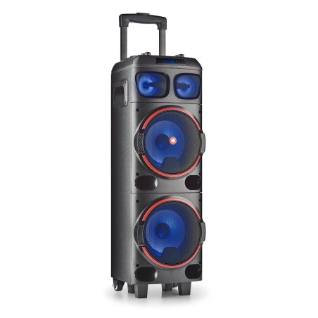 NGS Spekear Trolley WildDub1 DJ Party BT RGB TWS 300W Nera