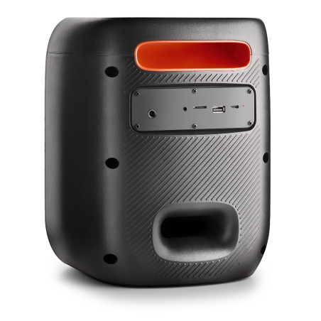 NGS Speaker Wild Swag Portatile BT/TWS/USB/TF/AUX-IN 80W