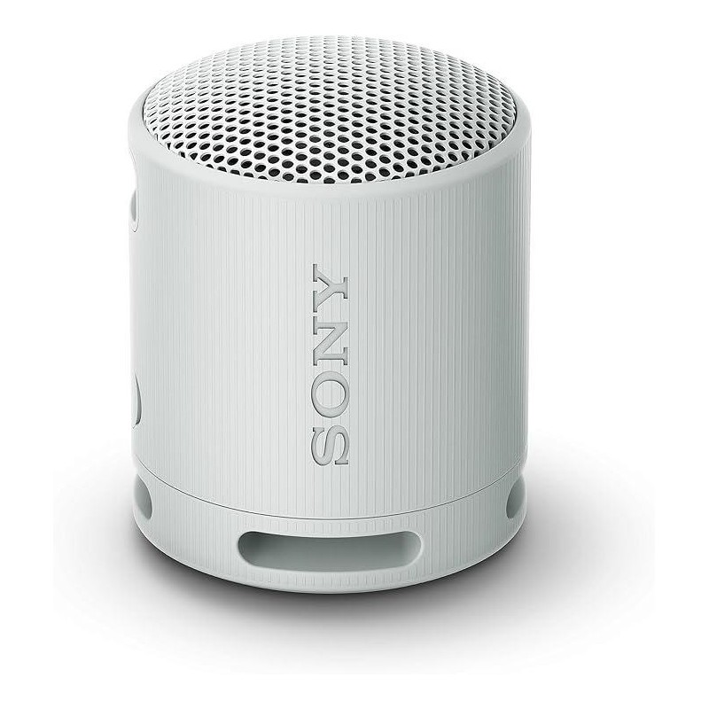 Sony SRS-XB100 Speaker Wireless Bluetooth Grigio